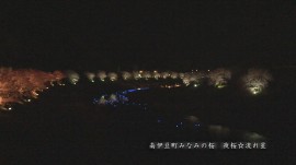 南伊豆町-流れ星