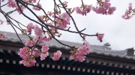海善寺