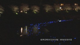 南伊豆町-流れ星