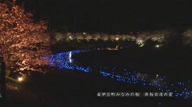 南伊豆町-流れ星