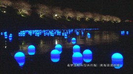南伊豆町-流れ星