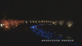 南伊豆町-流れ星