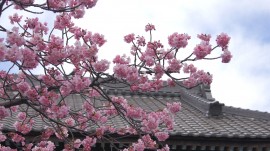 海善寺
