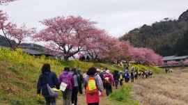 ツーデイマーチ