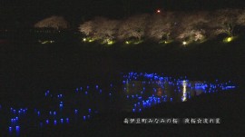 南伊豆町-流れ星