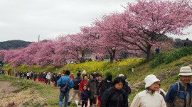 ツーデイマーチ