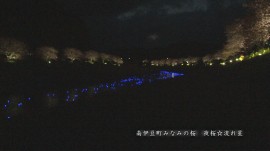 南伊豆町-流れ星