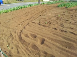 草や葉っぱは埋め込んだ2畝