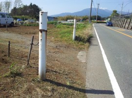 向かいの畑