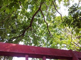 20130502_154815
