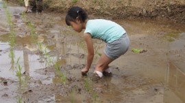 田植え一人で