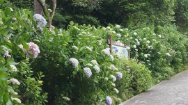 公園入口