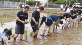 田植え先生真剣
