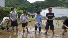 田植え大人チーム