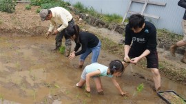 田植え子供