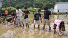 田植え若者
