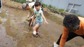 田植え子供