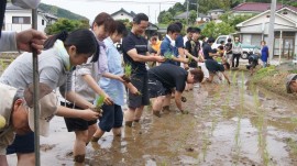 田植え勢ぞろい