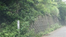 峠と標識