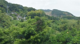 縄地奥集落