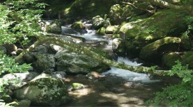 せせらぎ