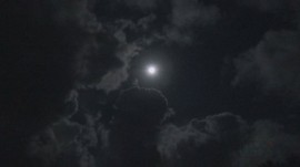2013-0820-こがめ孵化001