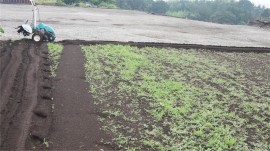 雑草と耕運機
