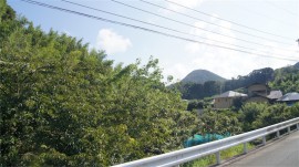 三倉山遠望