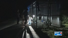 2013-0820-こがめ孵化002