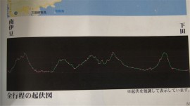 南伊豆下田間高低図