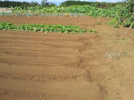 2013-10-08 09.35.55-1