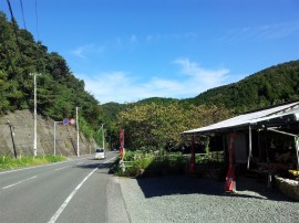 河津より下田方面を