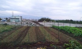 20131109_163057