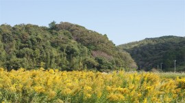 DSC06870