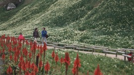 DSC07714