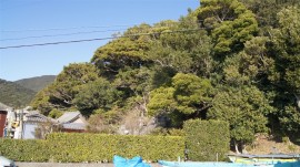 阿部地区東の山