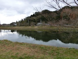 CIMG0043