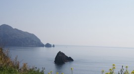 落居