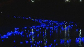 20140303夜桜流れ星08