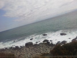 th_2014-03-14 10.30.09