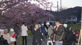 th_DSC07756