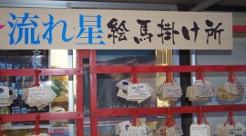 th_DSC07757