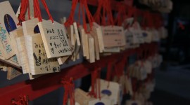 th_DSC07759