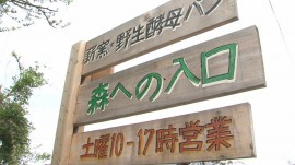 みなみいず暮らし現地セミナー