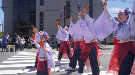 よさこい