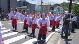 よさこい