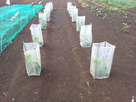 ktv2014-05-23 09.35.51