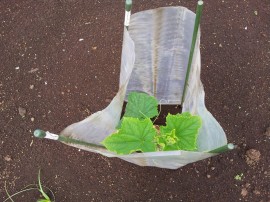 ktv2014-05-23 09.35.57