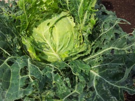 ktv2014-05-23 09.39.34