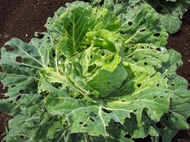 ktv2014-05-23 09.39.38